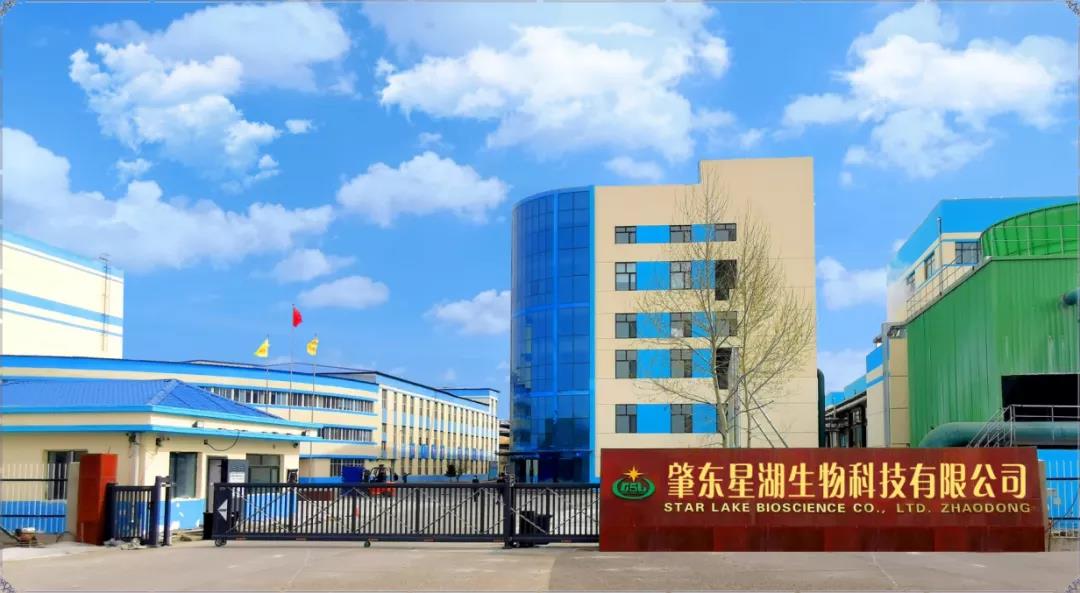 【“新BG大游 新风采”专题报道】 星湖科技:打造粤龙合作项目 赋能产业高质量发展 【“新BG大游 新风采”专题报道】 星湖科技:打造粤龙合作项目 赋能产业高质量发展