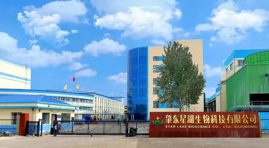 BG大游集团深入贯彻全省高质量发展大会精神（四）
