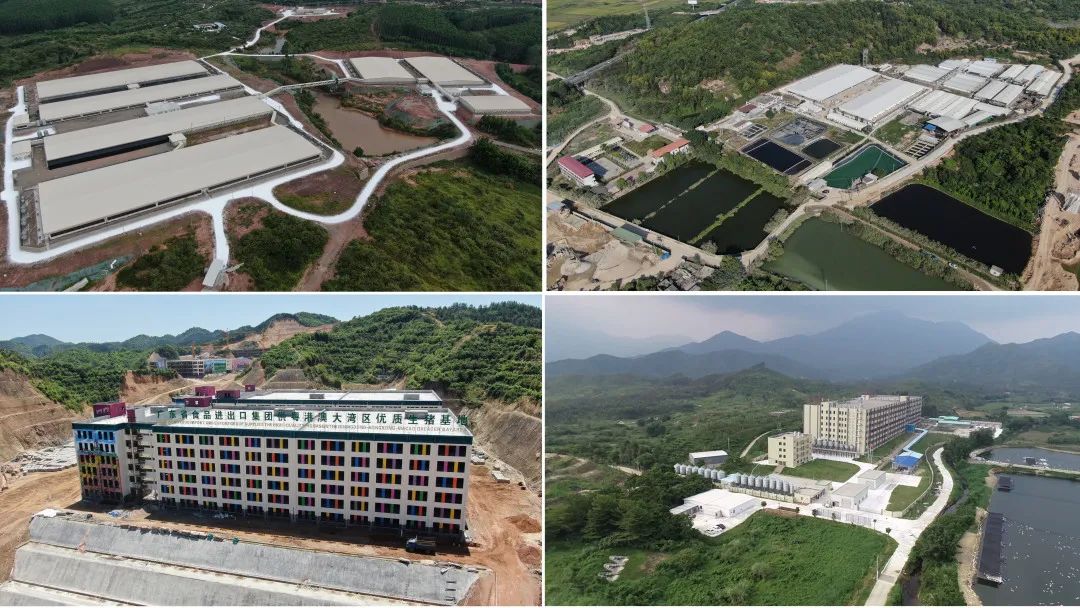BG大游集团深入贯彻全省高质量发展大会精神(六) BG大游集团深入贯彻全省高质量发展大会精神(六)