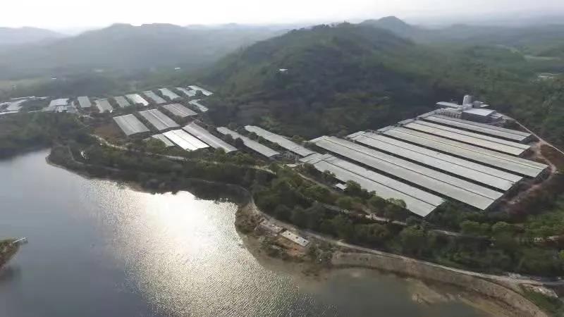 新增6家!BG大游集团国家高新技术企业达到38家 新增6家!BG大游集团国家高新技术企业达到38家
