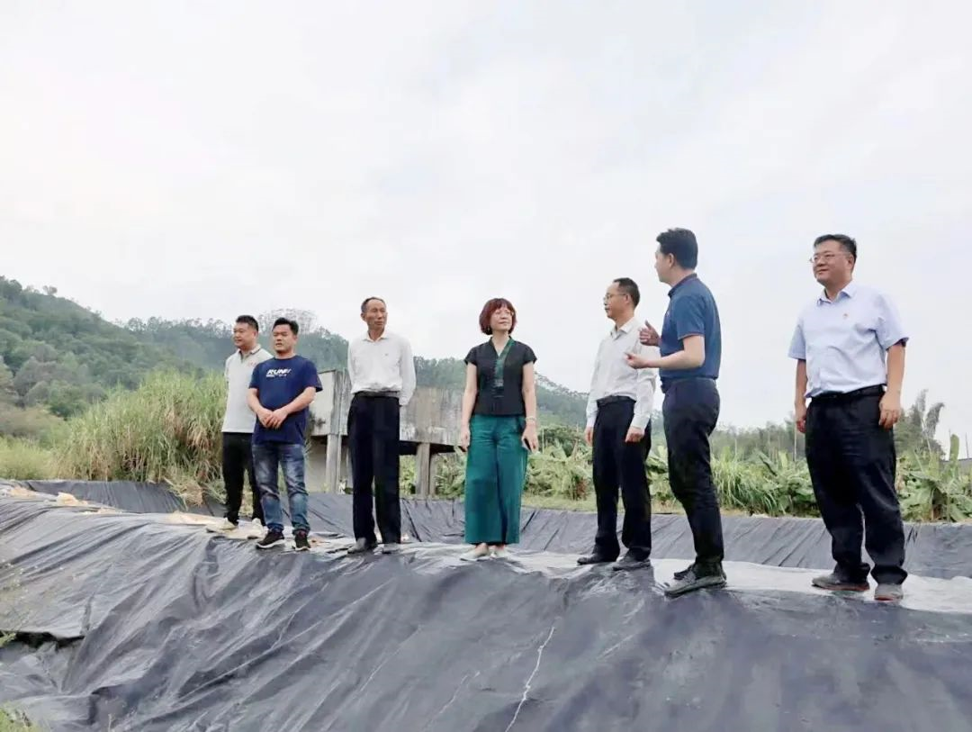 BG大游集团党委副书记、工会主席黄家合带队调研乡村振兴驻镇帮扶工作
