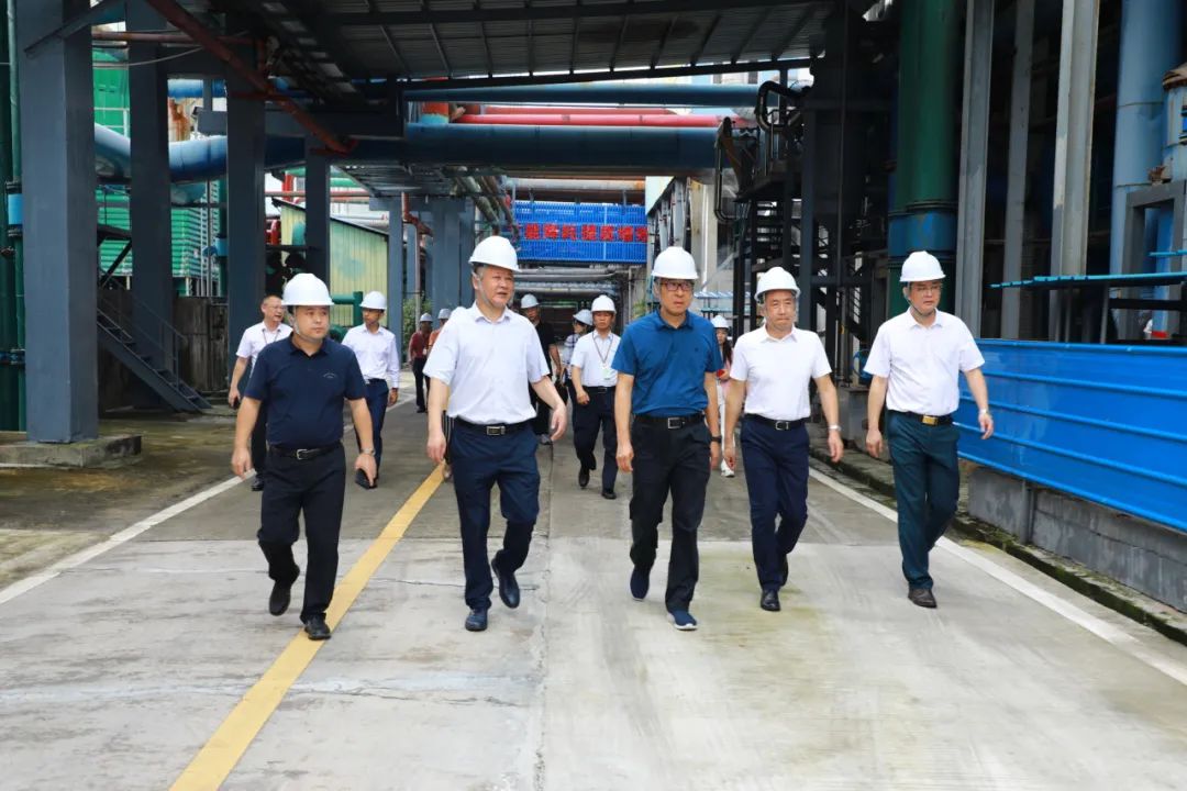 省国资委党委委员、副主任刘小龙一行到BG大游集团开展专项工作督导